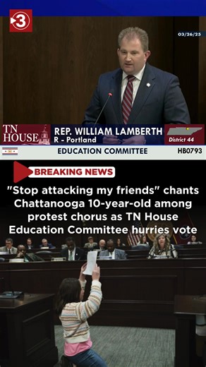 49K views · 661 reactions | "STOP ATTACKING MY FRIENDS": Chattanooga 10-year-old joins protestors as TN House Education Committee hurried to vote on a bill to allow public schools to refuse education to students without US Citizenship. A group of protestor's rendition of "Jesus Loves the Little Children" backs up Chattanoogan Emmie Wilkins's pleas to her friends. | Local 3 News | Facebook