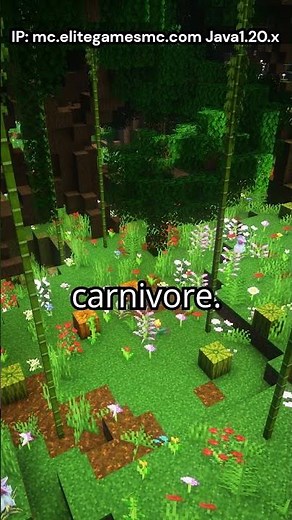 How to start on DinoWorld SMP #minecraft #minecraftdinosaurs #minecraftsmp #minecraftserver