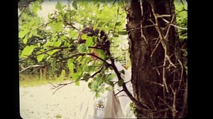 11K views · 903 reactions |  The official video for You Can Call Me, (which we shot in Sharleen's garden) is now live: texas.lnk.to/YouCanCallMeVideoTW  ❤️Home is where my heart is, so I wanted to share a little bit of that feeling with this video.❤️ | Texas | Facebook