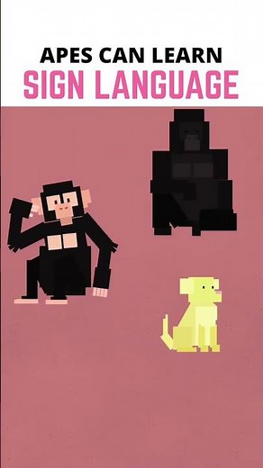 Animals Can Communicate!