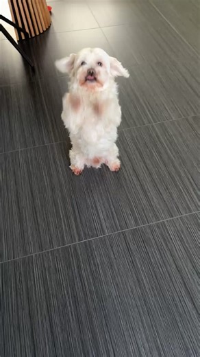 Exploring the Darkness of Nightmares in Rave Culture