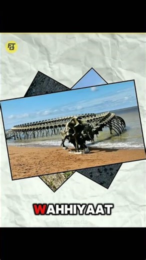 You Won’t Believe What Was Found on Google Maps! 😳 | #shorts