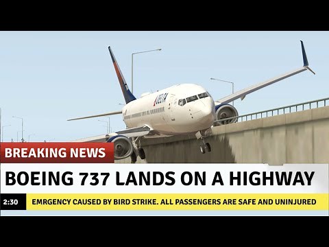Boeing 737 Plane Lands on Highway | EMERGENCY Highway Landing After Engine Failure