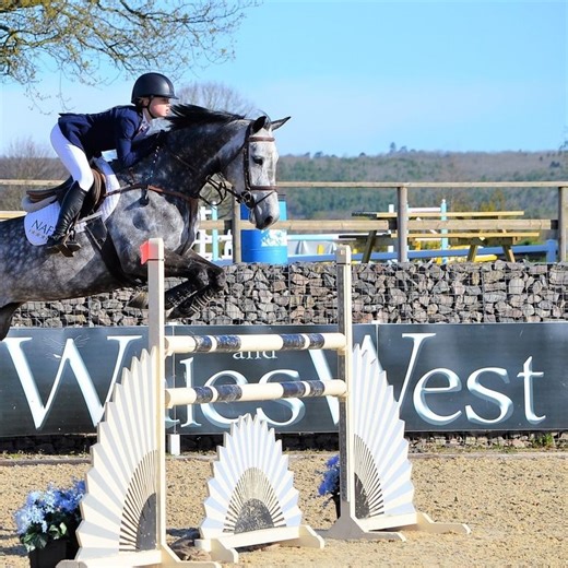 Home Pony Team - The Welsh Home Pony - 2025 | Videos, Live Streams, Films and Shows | ClipMyHorse.TV