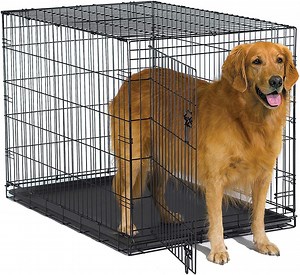 12 Of The Best Dog Crates For Every Pup, According To Pet ...