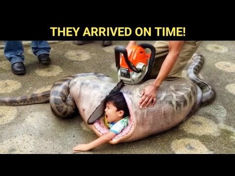 The 10 Most Striking Zoo Incidents of All Time‼️