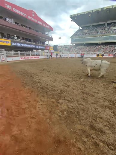 Ever wondered what a bull ride looks like up close? Take a trip in the dirt with our Lammle's Western Wear Bull Fighters POV! Calgary Stampede Rodeo | Calgary Stampede
