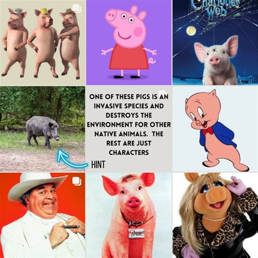 14 reactions | Look, we all love animals. Peppa Pig is pretty cute...