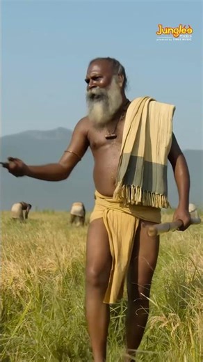 #PairuKothaPaatta from #Thangalaan in stunning #8k | #chiyaanvikram | #ytshorts | #shorts