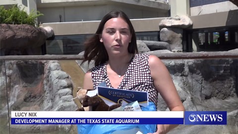 Adopt a wildlife friend at Texas State Aquarium!