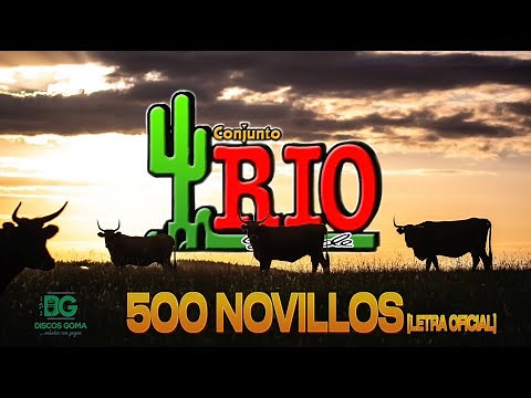 Conjunto Rio Grande-500 Novillos [Letra Oficial]