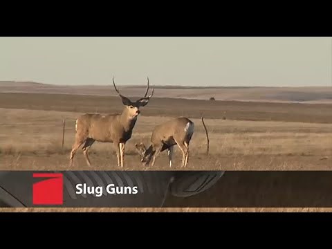 Benelli Slug Guns