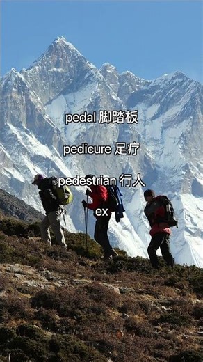 ped- 词根背单词pedal, pedicure, pedestrian, expedition, pedometer#分类记单词 #英语发音#图文单词#词根#挑战自我#情境英语