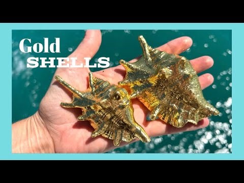 Gilded by the Sea : Gold Leafing a Shell in the Whitsundays