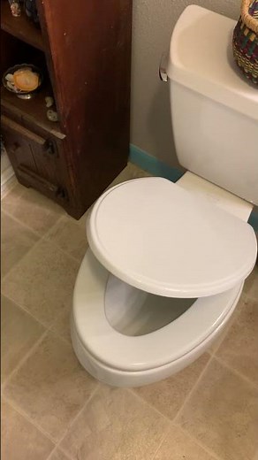 Bemis Weston Slow Close Toilet Seat in action