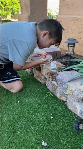 Exploding coke bottle#ducks #coke