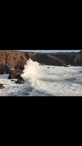 2.1K views · 51 reactions | Fernande Bernard on Reels | Facebook