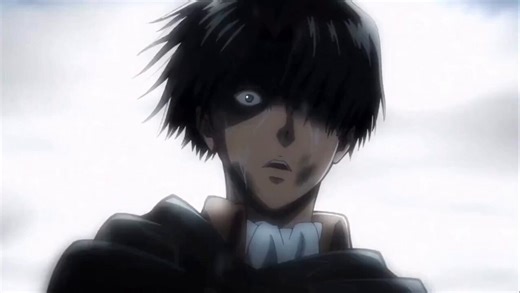 11 Years AgoLevi vs Abnormal Titan