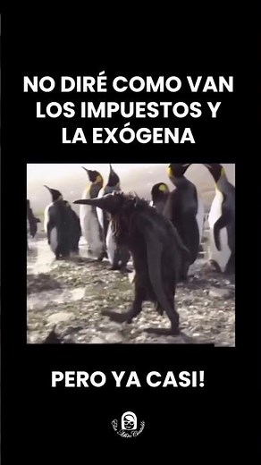 “Sí, sí… ya casi termino”— yo, hace como 3 cierres atrás 😭😂