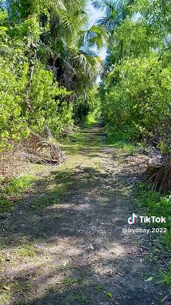 Exploring the Florida Panthers and Fakahatchee Marsh
