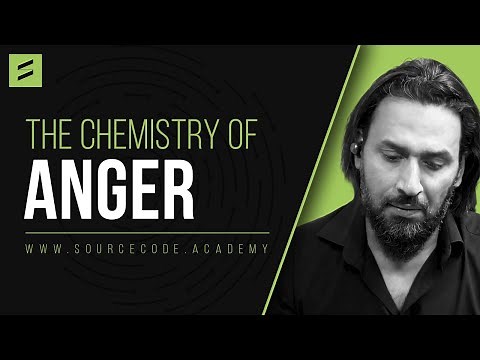 The Chemistry of Anger: Mind-Blowing Insights by Sahil Adeem!