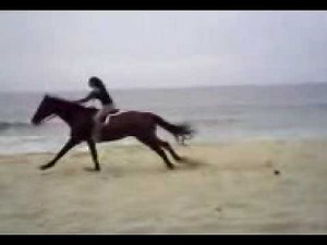 Slow motion horse gallop on beach