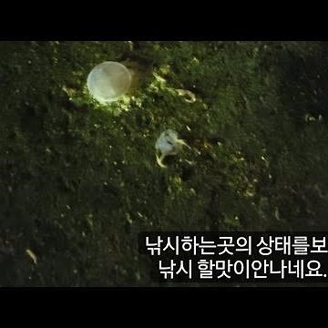 울산 감성돔낚시 (오드펠터미널)