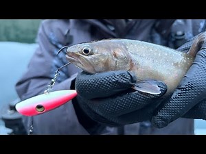 Casting and trolling plugs for Trout