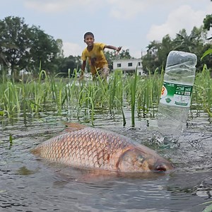 907K views · 227 reactions | OMG ! Amazing Fishing Technique | Big Fish Hunting By Plastic Bottle Fish Trap (Part-25) #fishing #bottlefishing #hookfishing | Fishing 24 | Facebook