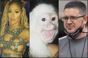 Texas Asst Coach Jeff Banks’ Ex-Stripper Girlfriend Danielle “Pole Assassin” Thomas Pet Monkey Gia Attacks Kid on Halloween - BlackSportsOnline