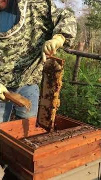 Another Step in Honey Harvesting | Inside Beekeeping Work #Shorts