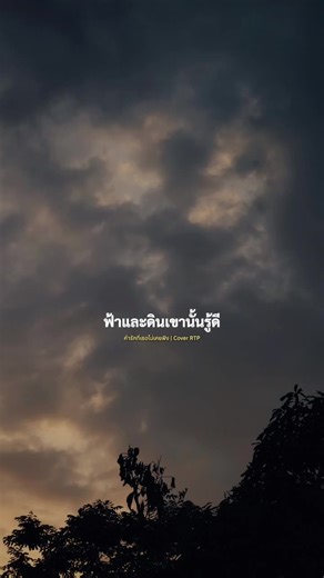 #เพลงเพราะ #เพลงลงสตอรี่ #สตอรี่ความรู้สึก🤍🎼 #noon_1987🎵