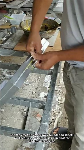 How Beekeepers Make Perfect Honeycomb Foundations