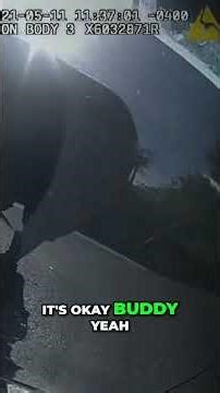 Dog Left in Car: Broken Window, Animal Cruelty? #shorts