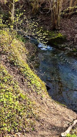Small Waterfall Flow – 5s Nature Ambience | Switzerland 4K