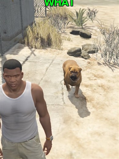 What Happens If You Sprint Near Dogs in Every GTA Game?