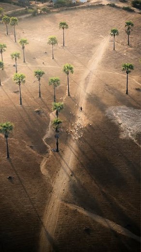 Dylan Chen | Masking tutorial 💡 using Lightroom Classic How I used masking to exaggerate the shadows and light in landscape photography to create... | Instagram