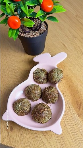 You know that leftover hay you end up throwing away? Let’s make homemade bunny treats 🐰🌾 #bunny