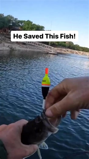 53K views · 1.2K reactions | Lakeforkguy Fishing saving lives one at a time! Who uses this technique? #fishing #bassfishing #googansquad | Googan Squad | Facebook