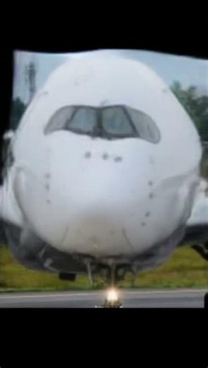 "AIRBUS A350 SINGS WATERMELON SUGAR! (Aviation x Harry Styles Meme) ✈️🍉 | 35,000ft Summer Vibe"