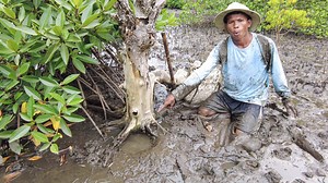 1.3M views · 10K reactions | Digging Hole - Catching Huge Crabs In Muddy Swamp | Ahlik Fishing | Facebook