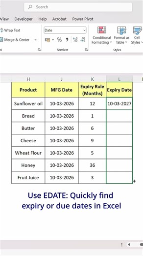 Excel EDATE Trick: Find Expiry or Due Dates Instantly! ⚡