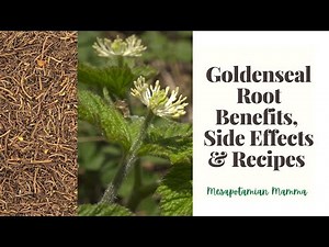 Goldenseal Benefits, Side effects & Recipes: Natural remedies for cough