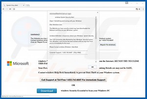 Something Went Wrong With Your Windows Scam