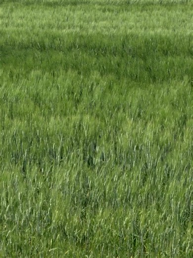 Improve Your English: Daily Speaking Practice Tips