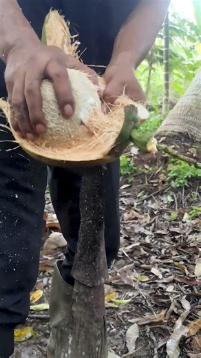 A simple way to peel a coconut