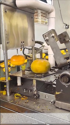 Persimmon peeling process automation - good tools and machinery make work more efficient