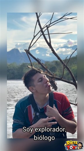 😱 Quiso lamer el panal de avispas y mira lo que hizo 😂🐝