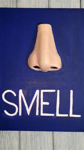 Sense Organs Nose School Project #shorts #art #artist #trending #reels #school #craft