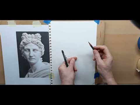 Drawing an Apollo Greek Bust